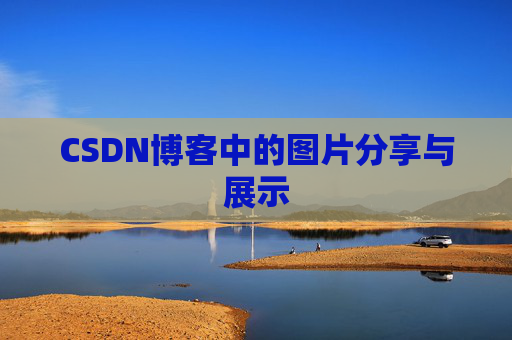 CSDN博客中的图片分享与展示